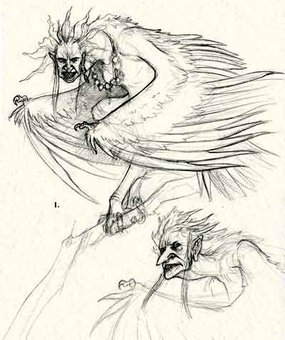 Harpy Sketch 2