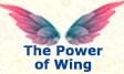 Kyngdom: The Power of Wing